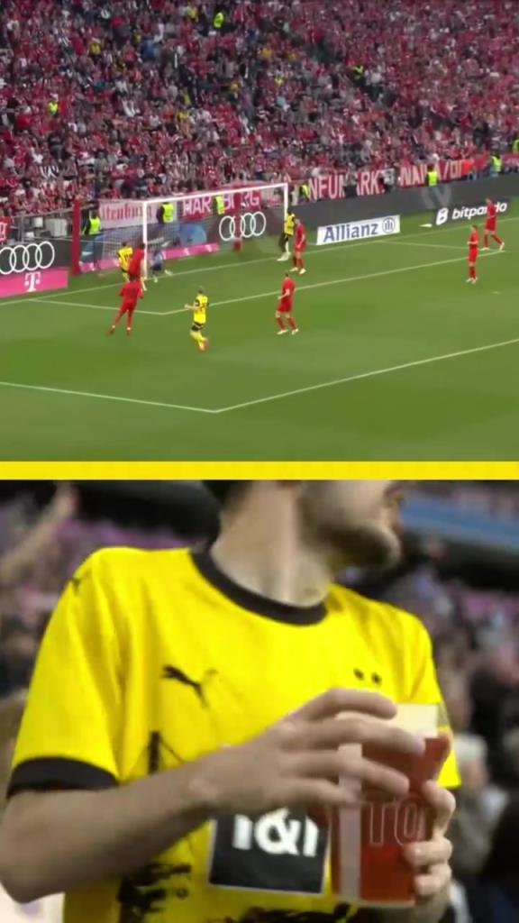 勇者無(wú)懼！這是真多特球迷！在拜仁球迷區(qū)一個(gè)人肆意慶祝！